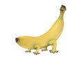 Genetically modified banana with legs Royalty Free Stock Photo