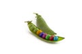 Genetically modified colorful peas Royalty Free Stock Photo