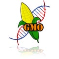 Genetically modified corn