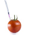 Genetically modified food concept image Royalty Free Stock Photo