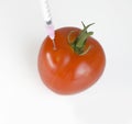 Genetically modified food concept image Royalty Free Stock Photo