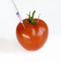 Genetically modified food concept image Royalty Free Stock Photo