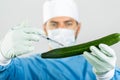 Genetically modified food - scientist make injection in cucumber