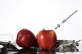 Genetically modified foods, apple pumped with chemicals Royalty Free Stock Photo