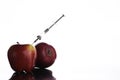 Genetically modified foods, apple pumped with chemicals Royalty Free Stock Photo