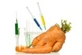 Genetically modified organism Royalty Free Stock Photo