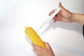 Genetically modified organism - corn Royalty Free Stock Photo