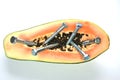 Genetically Modified Papaya