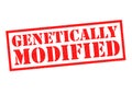 GENETICALLY MODIFIED Royalty Free Stock Photo