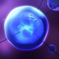 Genetically modified twin embryos in a blue transparent bubble and cannula