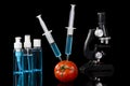 Genetically modified vegetables tomato vaccine