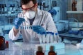 Geneticist holding pcr tubes for genetic analytical in the clinical laboratory Royalty Free Stock Photo