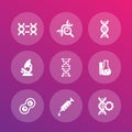 Genetics icons, dna chains, genetic modification Royalty Free Stock Photo