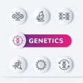 genetics line icons, genetic research, dna test
