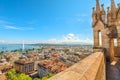 Geneva Saint-Pierre Cathedral aerial