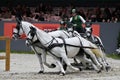 Geneva, Switzerland, December 10, 2023 : The 62st edition of the Geneva International Horse Show (CHI) at Palexpo