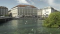 GENEVA, SWITZERLAND - JUNE, 7, 2019: swans and geese on the outlet of lake geneva with four seasons hotel in background