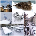 Geneva by winter, Switzerland, collage Royalty Free Stock Photo