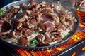 Genghis khan mutton barbecue Royalty Free Stock Photo