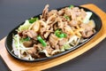 Genghis Khan lamb barbecue plate Royalty Free Stock Photo