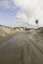 Genipabu Dunes in Natal, RN, Brazil