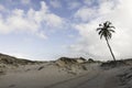 Genipabu Dunes in Natal, RN, Brazil