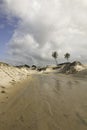 Genipabu Dunes in Natal, RN, Brazil