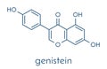 Genistein isoflavone molecule. Skeletal formula. Royalty Free Stock Photo