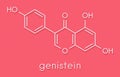Genistein isoflavone molecule. Skeletal formula. Royalty Free Stock Photo