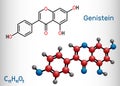 Genistein molecule. It is phytoestrogen, plant metabolite, isoflavone extract from soy with antioxidant and Royalty Free Stock Photo