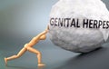 Genital herpes - depiction, impression and presentation of this condition shown a wooden model pushing heavy weight to symbolize