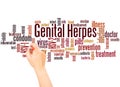 Genital herpes word cloud and hand writing concept