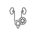 Genitourinary system virus disease color line icon. Pictogram for web page