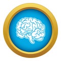 Genius brain icon blue vector isolated