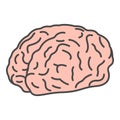 Genius brain icon color outline vector