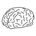 Genius brain icon, outline style