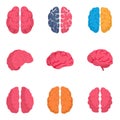 Genius brain icon set, flat style