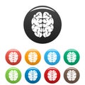 Genius brain icons set color