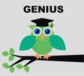 Genius owl