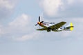 P-51 Mustang in flight