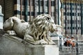 Marble lion by The San Lorenzo Cathedral in Genoa