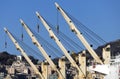 Detail of the cranes of the Vega Everest industrial ship from Panama moored in the port of Genoa