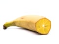GenoBanan Royalty Free Stock Photo