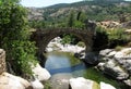 The Genoese bridge of Albertacce on Golo River near Casamaccioli, Corsica x Royalty Free Stock Photo