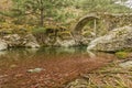 Genoese bridge over a river in Corsica Royalty Free Stock Photo