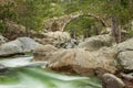 Genoese bridge over Tartagine river in Corsica Royalty Free Stock Photo