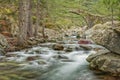 Genoese bridge over Tartagine river in Corsica Royalty Free Stock Photo