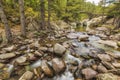 Genoese bridge over Tartagine river in northern Corsica Royalty Free Stock Photo