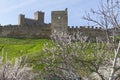 Genoese fortress in Sudak, Crimea. Royalty Free Stock Photo