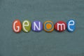 Genome, all genetic information of an organism, text composed with multi colored stone letters